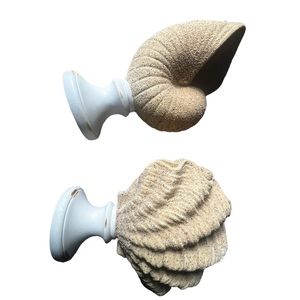 Seashell Decor Pieces (two)